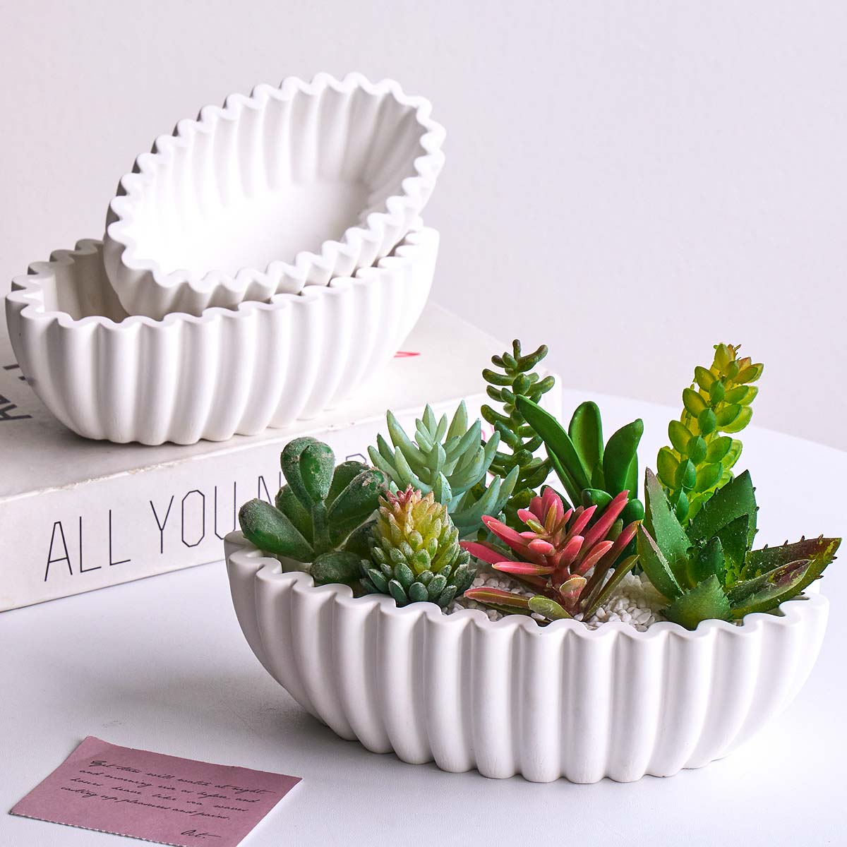S/M/L Oval Striped Storage Bow - Potsticker Mold review and price